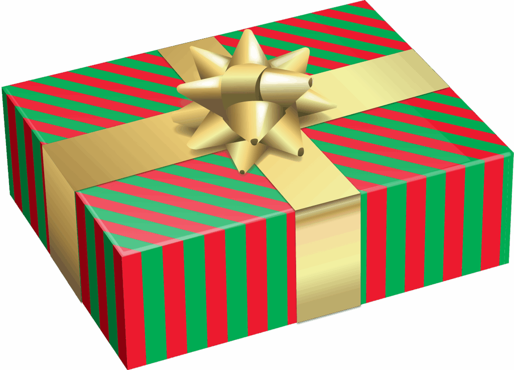 Wrapped Gift