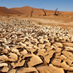 Behold, the days come,” saith the Lord God,…